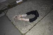 photo 10887672.jpg